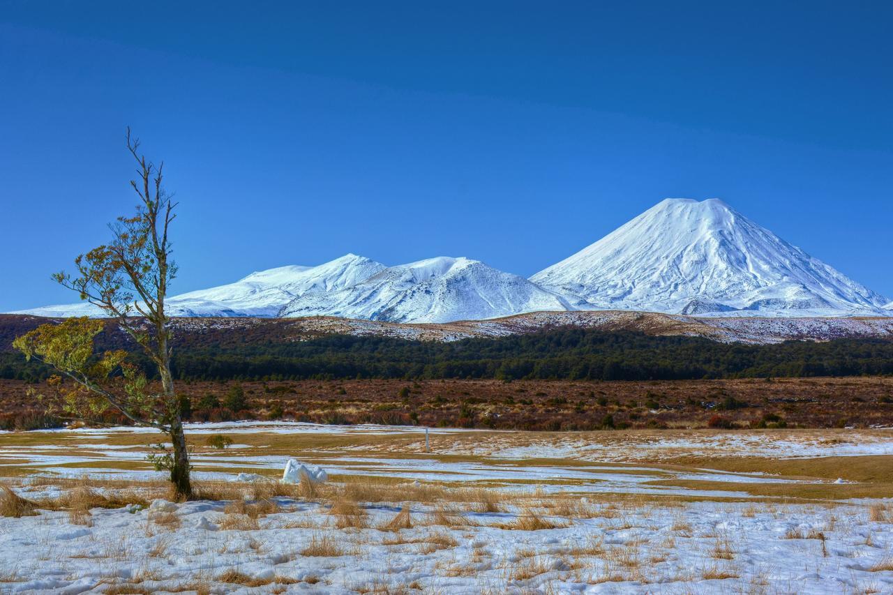 Beech Tree Lodge Охакун Екстериор снимка